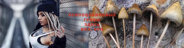 шишки Володарск