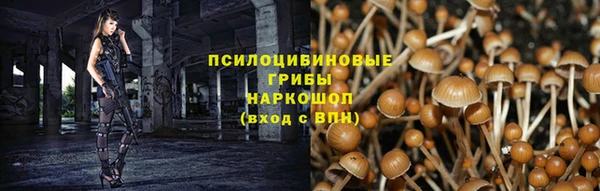 шишки Володарск